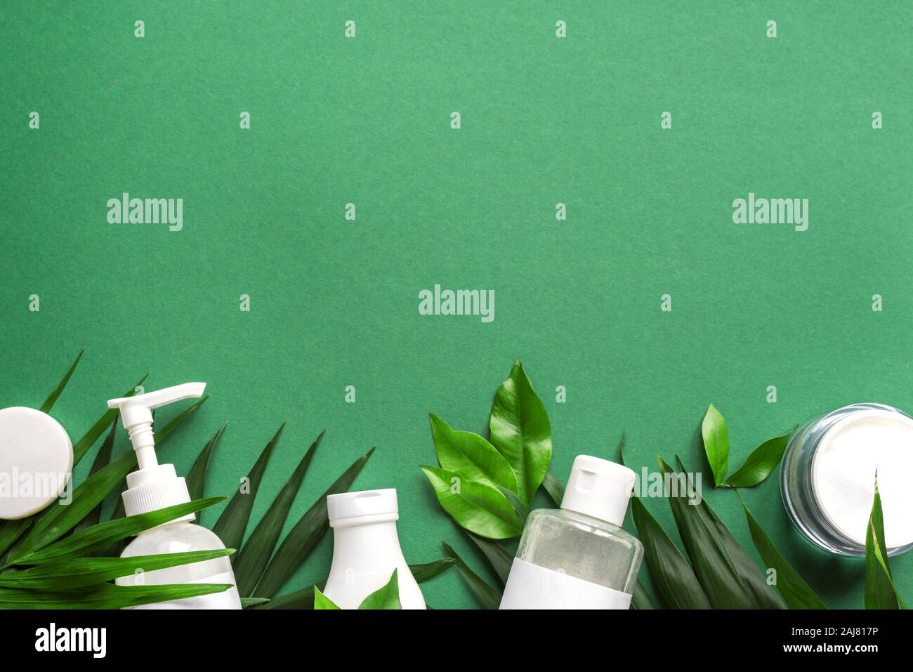 green leaves body care