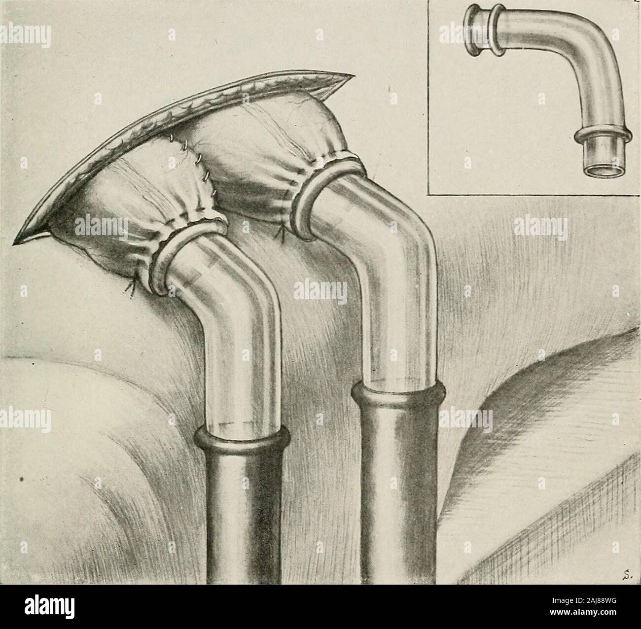 res stock photography and images Biology Diagrams