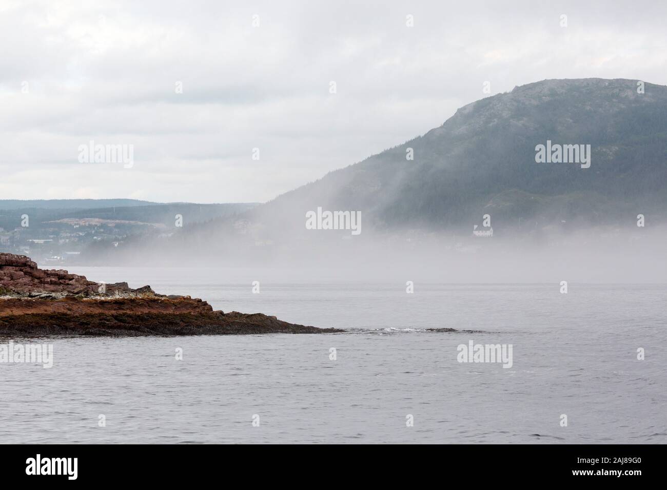 Reflection of houses at Witless Bay in Newfounland and Labrador, Canada
