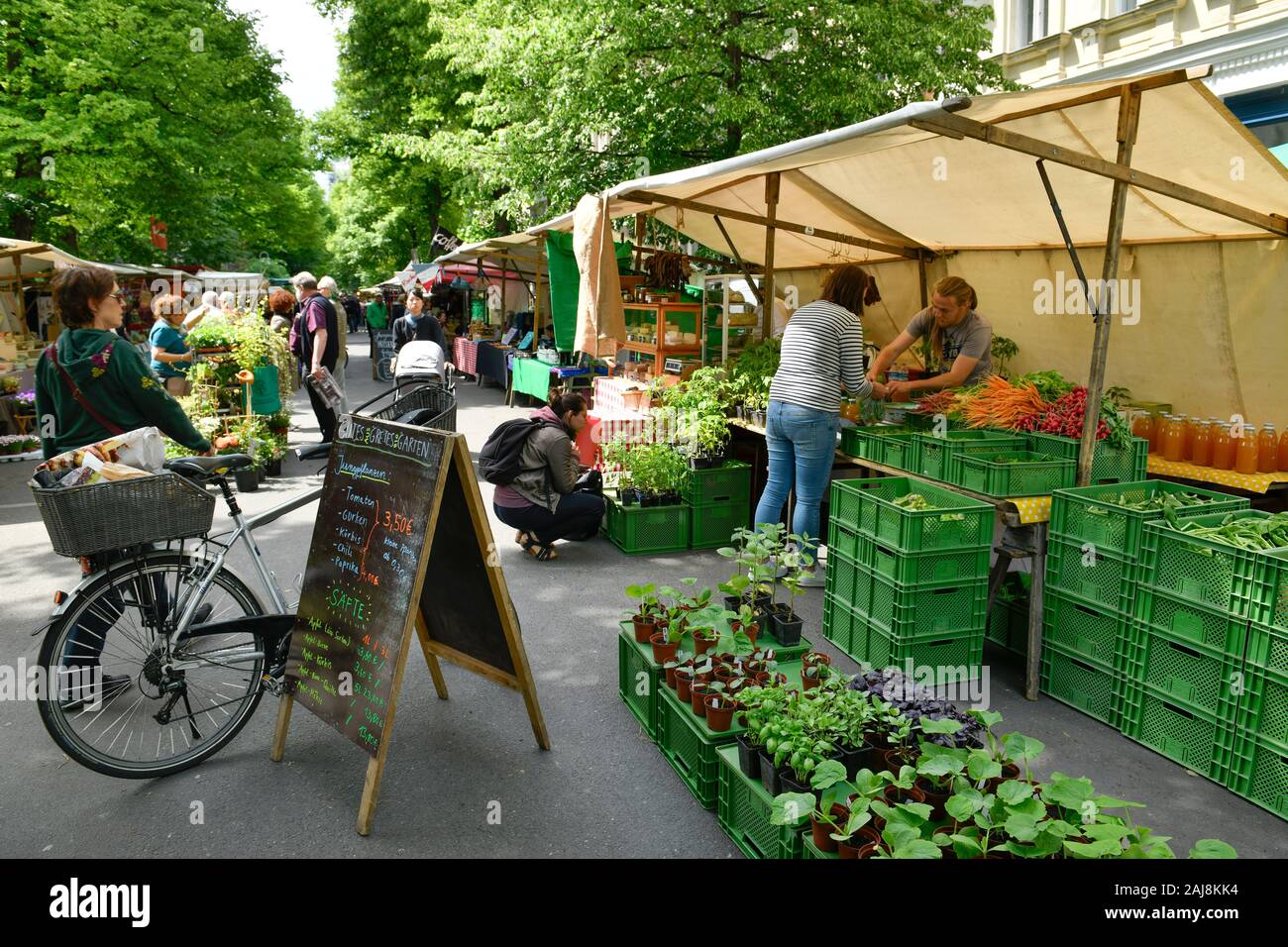 Ökomarkt, Kollwitzplatz, Prenzlauer Berg, Pankow, Berlin, Deutschland Stock Photo