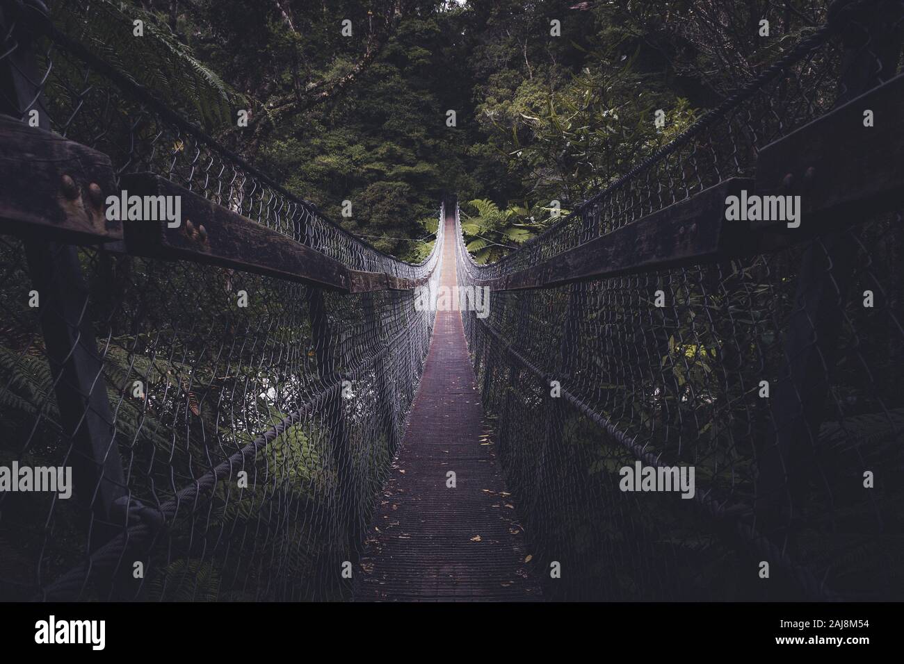 Bridge to nowhere, new zealand hires stock photography and images Alamy