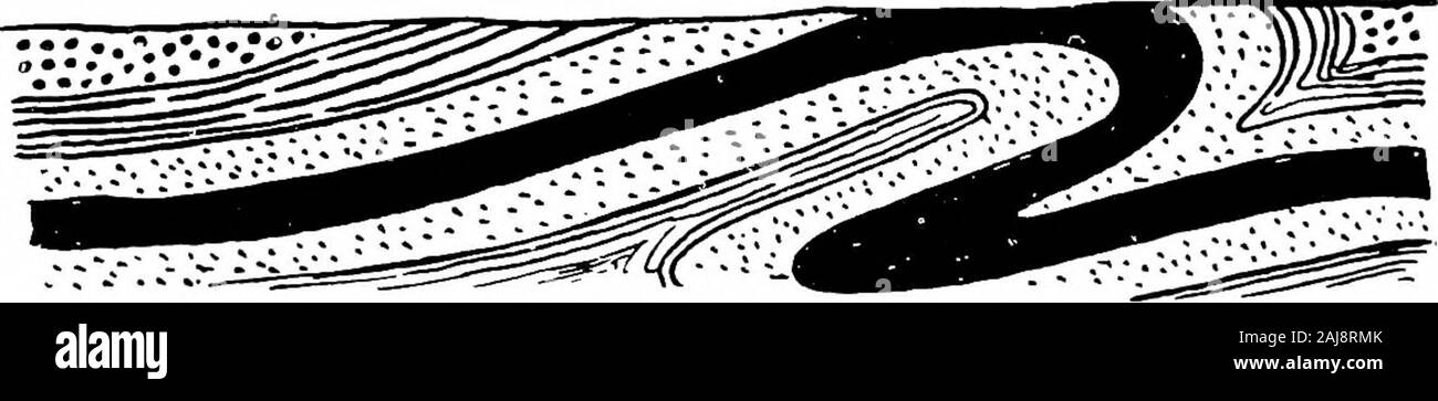 Agricultural geology . Fie. 7. Stratified rocks folded into a series of anticlines and synclines.. Fig. S. A recumbent fold. All of these varieties are most easily imderstood from the figures.Another term commonly employed is isochnal folding, whereboth limbs of an overturned fold dip in the same direction.Folds again may be complex; that is a number of smallfolds may be combined into the general form of one largefold, as shown in the figure of an anticlinorium (Fig. 9). Anexaggerated form of an anticlinorium is the fan-structure of Stock Photo