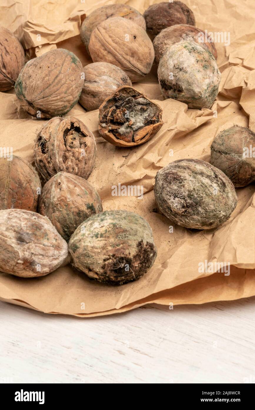 some mouldy unpleasant walnuts as a background Stock Photo