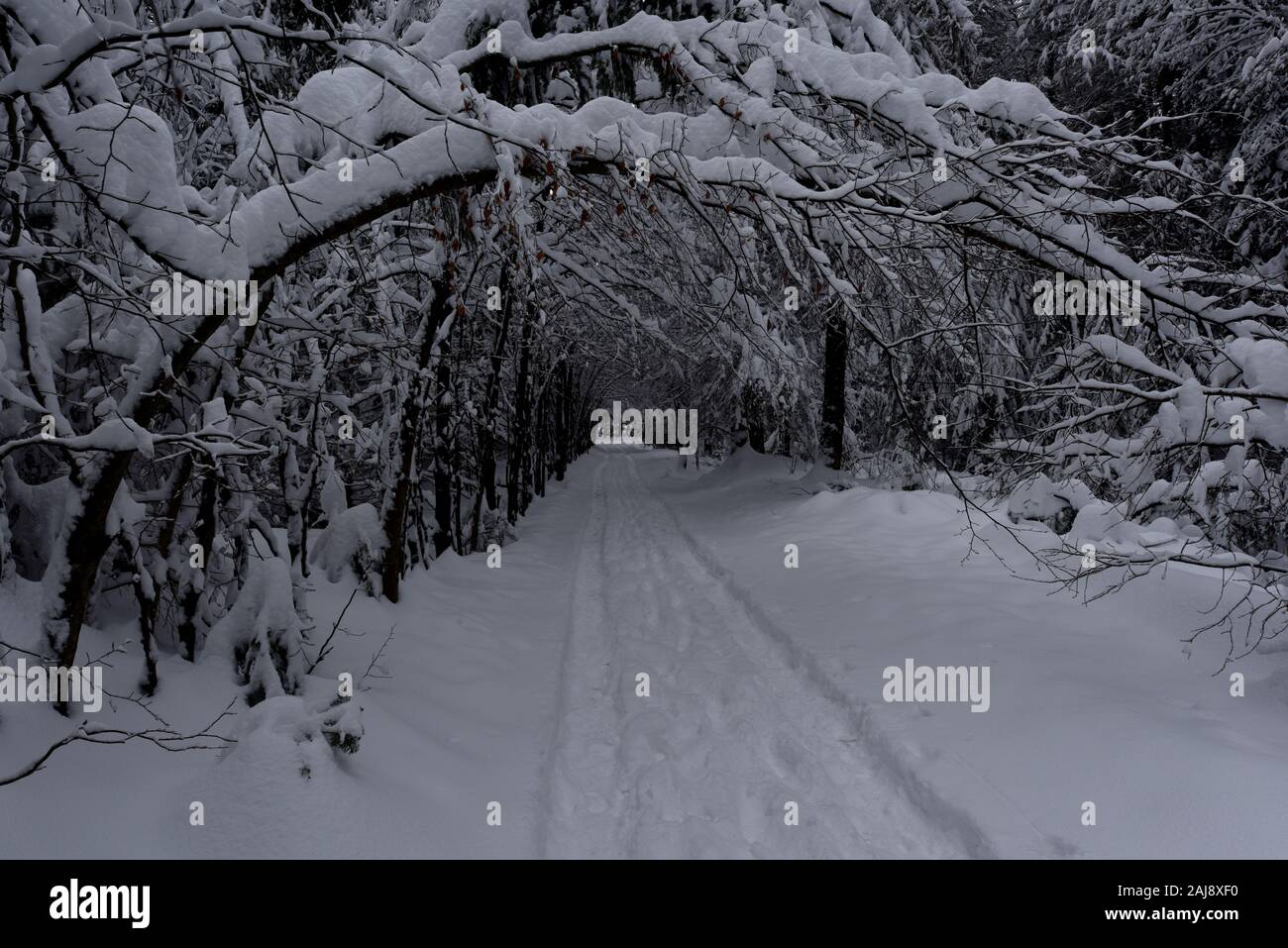 Winter in Tatra Mountains, Poland Stock Photo
