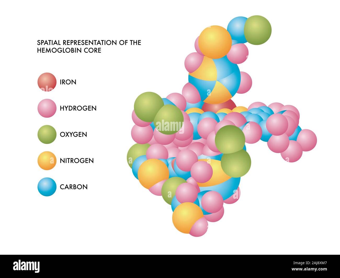Medical illustration of hemoglobin core spatial representation with molecules of iron, hydrogen, oxygen, nitrogen and carbon in color coded shapes. Stock Photo