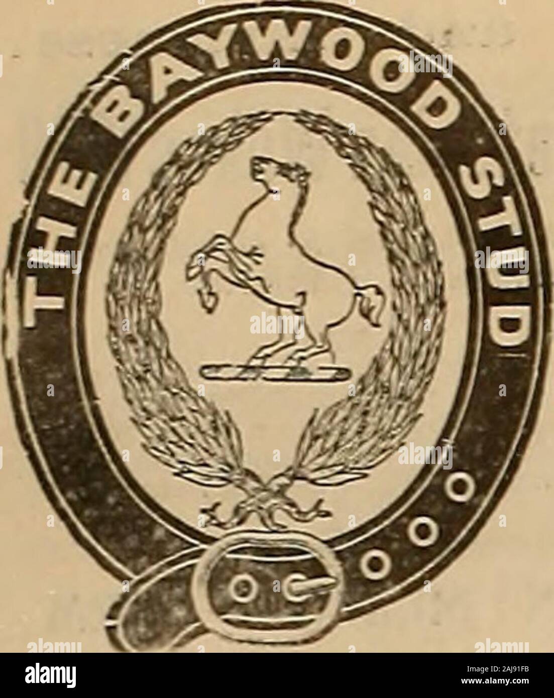 Breeder and sportsman . Capl. Tom Merry Compiler of TABULATED PEDIGREES (Thoroughbred Horses Only) AddreBs 534 1-2 South. Spring St. Los Angeles, Cal. Refers to Hon. Win. C. Whitney, New York;Hon. Perry Belmont, New York; James R. Keene,Esq., New York: E. S. Gardner, Jr., Saudersville,Tenn.; Wm. Hendrie, Esq.,,Hamilton, Ont. 14 Site £5v£COev axxif gtij&vt&nxait [February 2, 1901. THE BAYWOOD STUD THE BUNGALOW, SAN MATEO, CAL. (Property of John Pabhott, Esq.) Imp. Hackney StallionGreens Bufus 63 Will serve a limited number of approved mares season 1901. FEE ... $75 Reductions made for two or mo Stock Photo