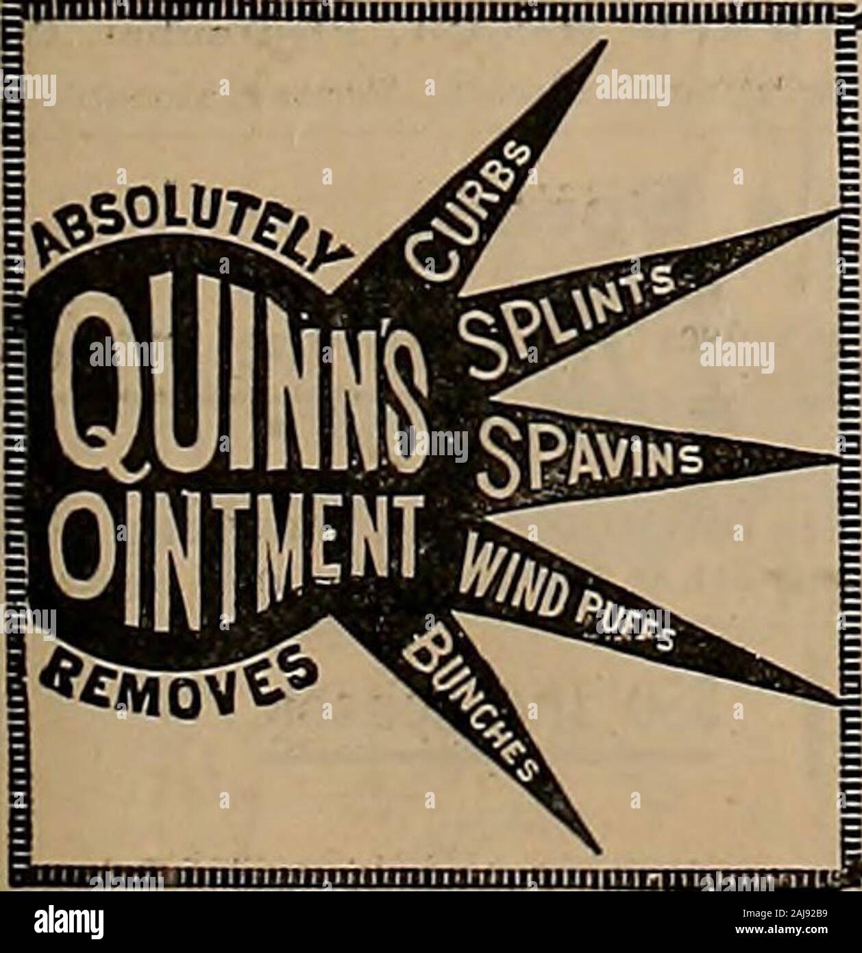 Turtles company hires stock photography and images Alamy