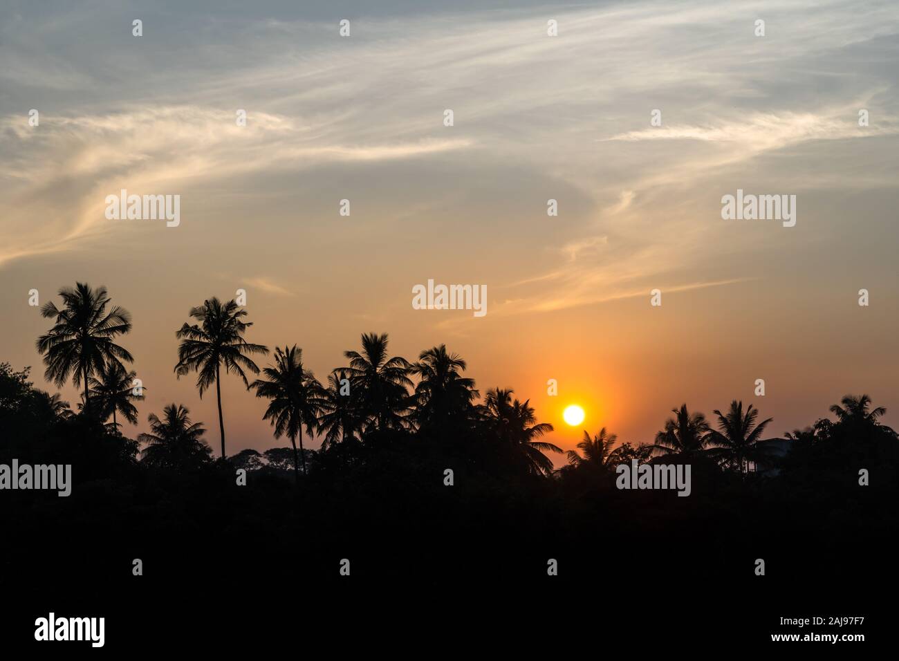 Sunset over palm trees in silhouette with dramatic sky Stock Photo