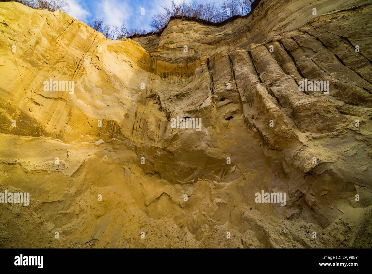 Trovan Rocks Inside Trovantii – the strangest living stones in Romania Stock Photo - Alamy