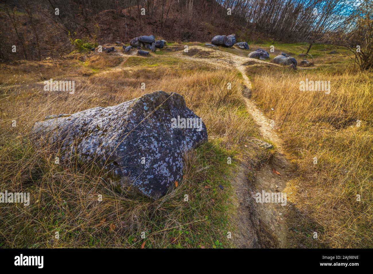 Trovan Rocks Inside Trovantii – the strangest living stones in Romania Stock Photo - Alamy