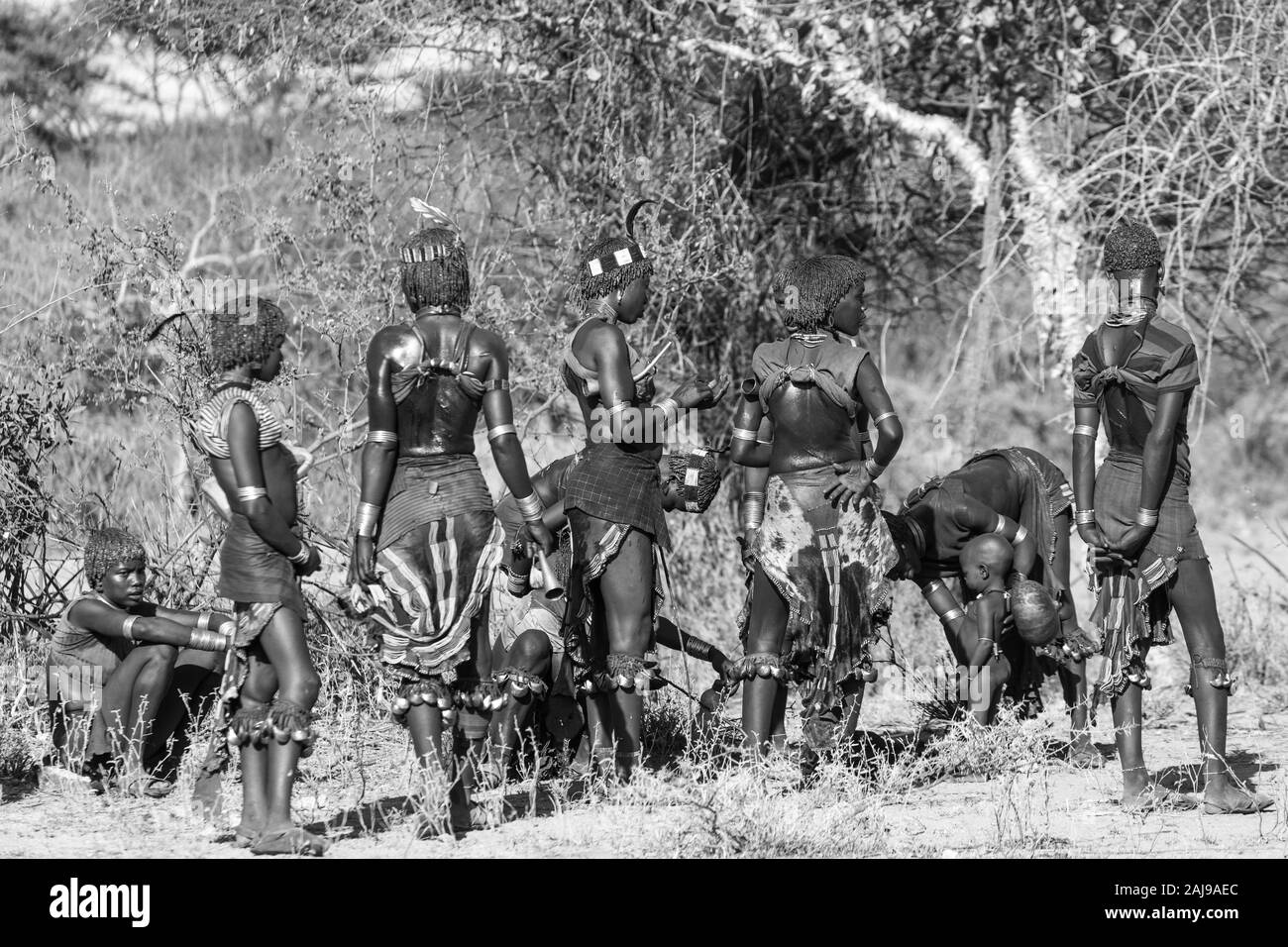 Hamer people, Omo valley, Naciones, Ethiopia, Africa Stock Photo
