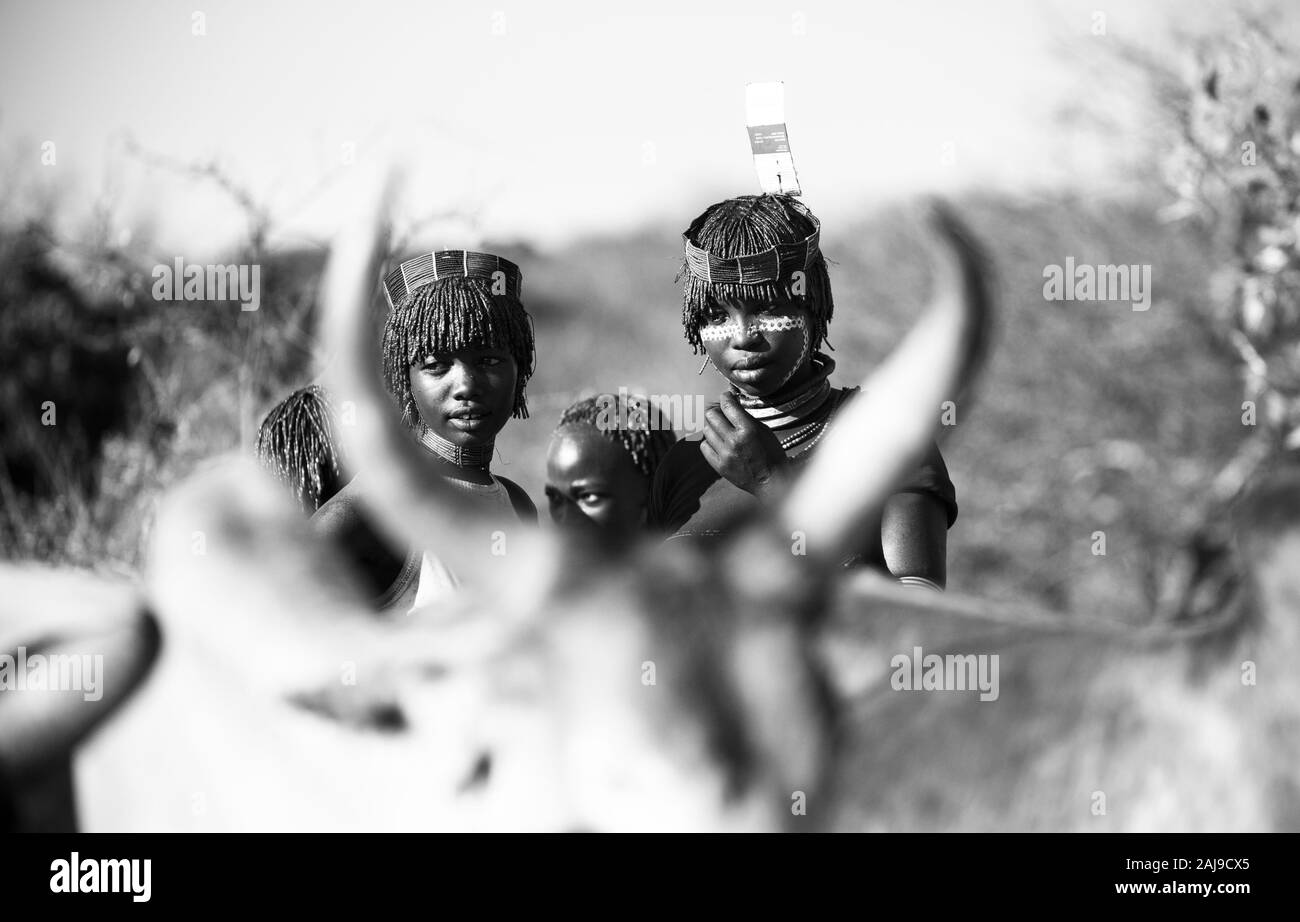 Hamer people, Omo valley, Naciones, Ethiopia, Africa Stock Photo
