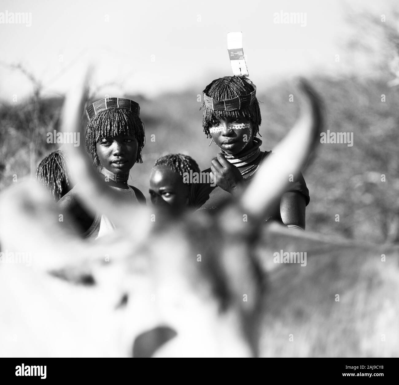 Hamer people, Omo valley, Naciones, Ethiopia, Africa Stock Photo