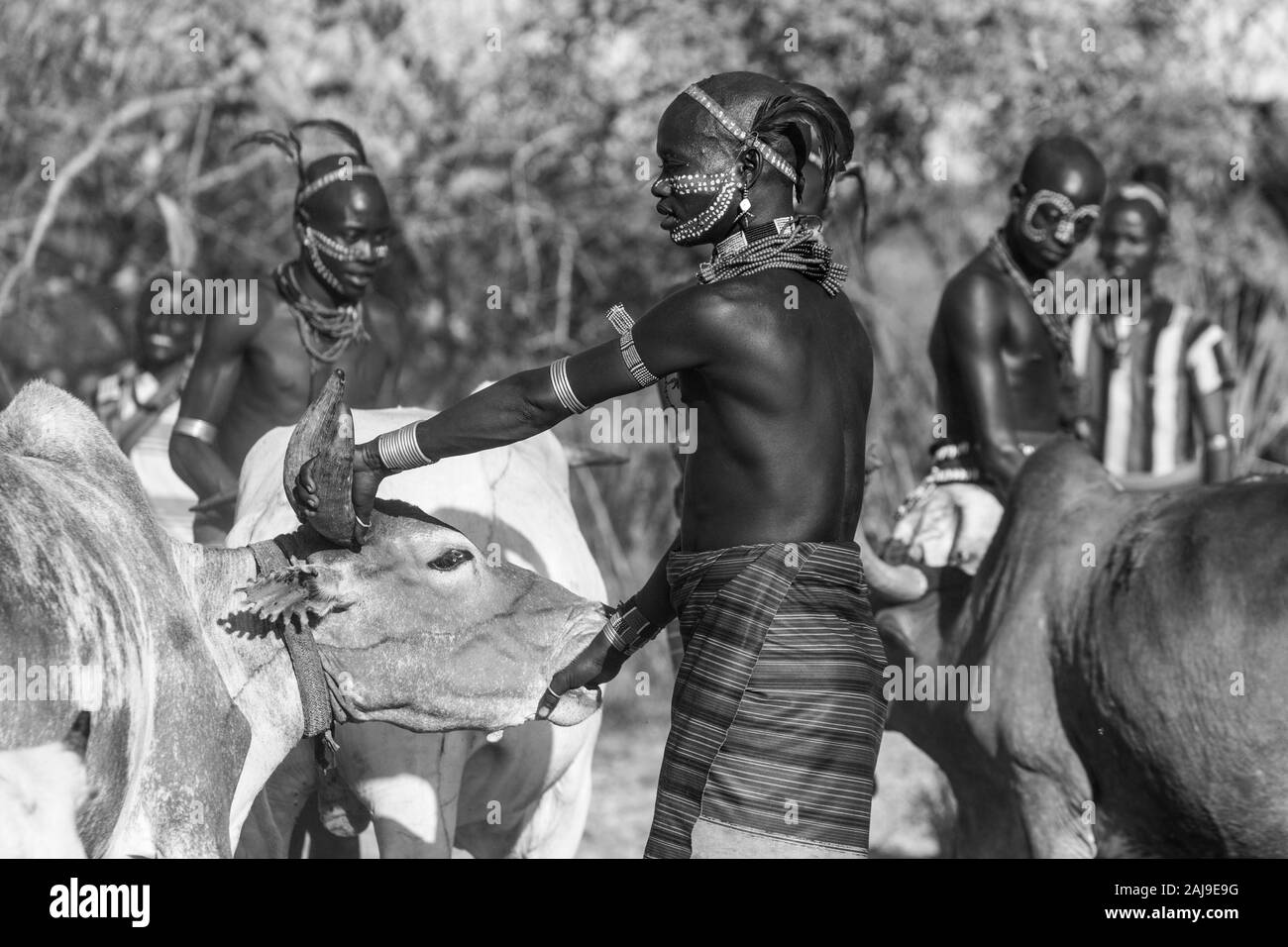Hamer people, Omo valley, Naciones, Ethiopia, Africa Stock Photo