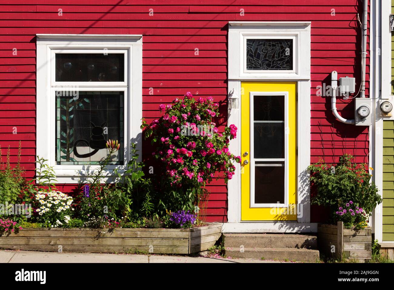 Flowers bloom outside of a house in St John's, Newfoundland and Labrador, Canada. The house has a yellow door. Stock Photo