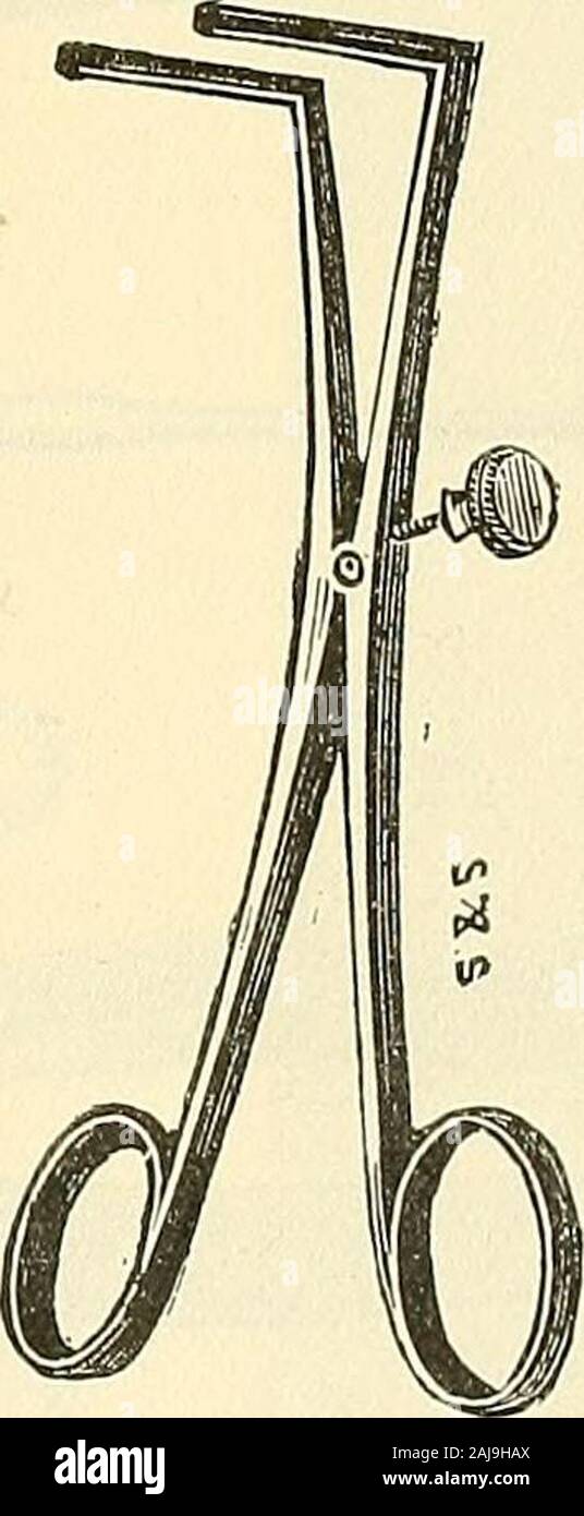 Catalogue of Sharp & Smith : importers, manufacturers, wholesale and retail dealers in surgical instruments, deformity apparatus, artificial limbs, artificial eyes, elastic stockings, trusses, crutches, supporters, galvanic and faradic batteries, etc., surgeons' appliances of every description . ^ 2383 2387 Fig. 2387. Uvula Retractor. The body of the instrument is a slender tube, about sixinches long. Its larger extremity is trumpet shaped, and is covered with thin sheet rubber; itssmaller extremity is so made, that the uvula may be drawn into it. Instruments designated by a * are illustrated. Stock Photo