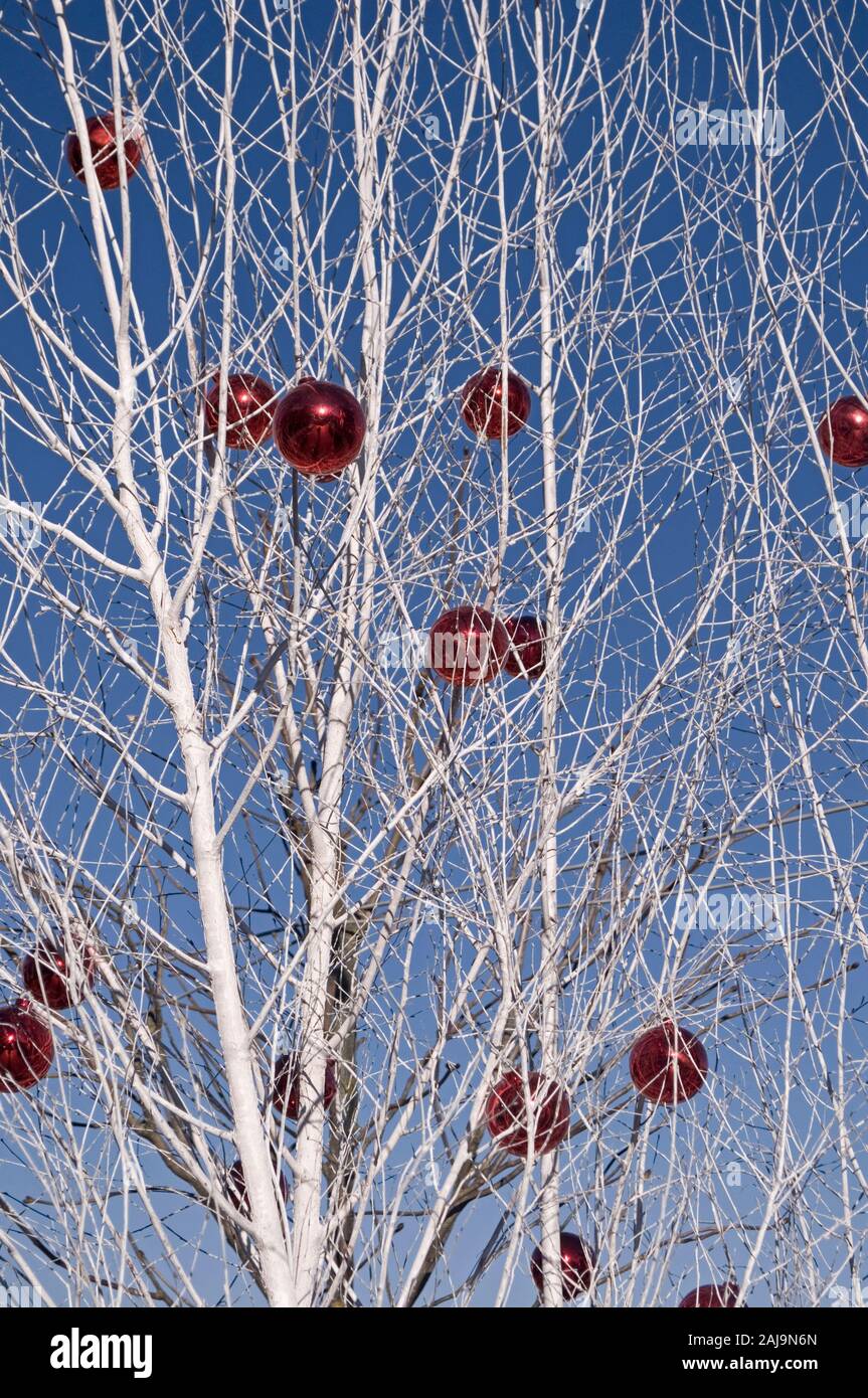 Red christmas balls on tree Stock Photo
