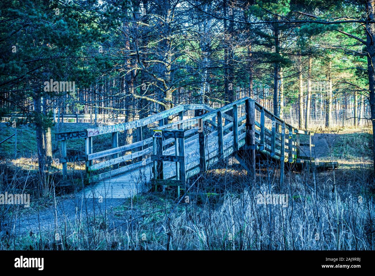 Bridge in the woods 2 Stock Photo