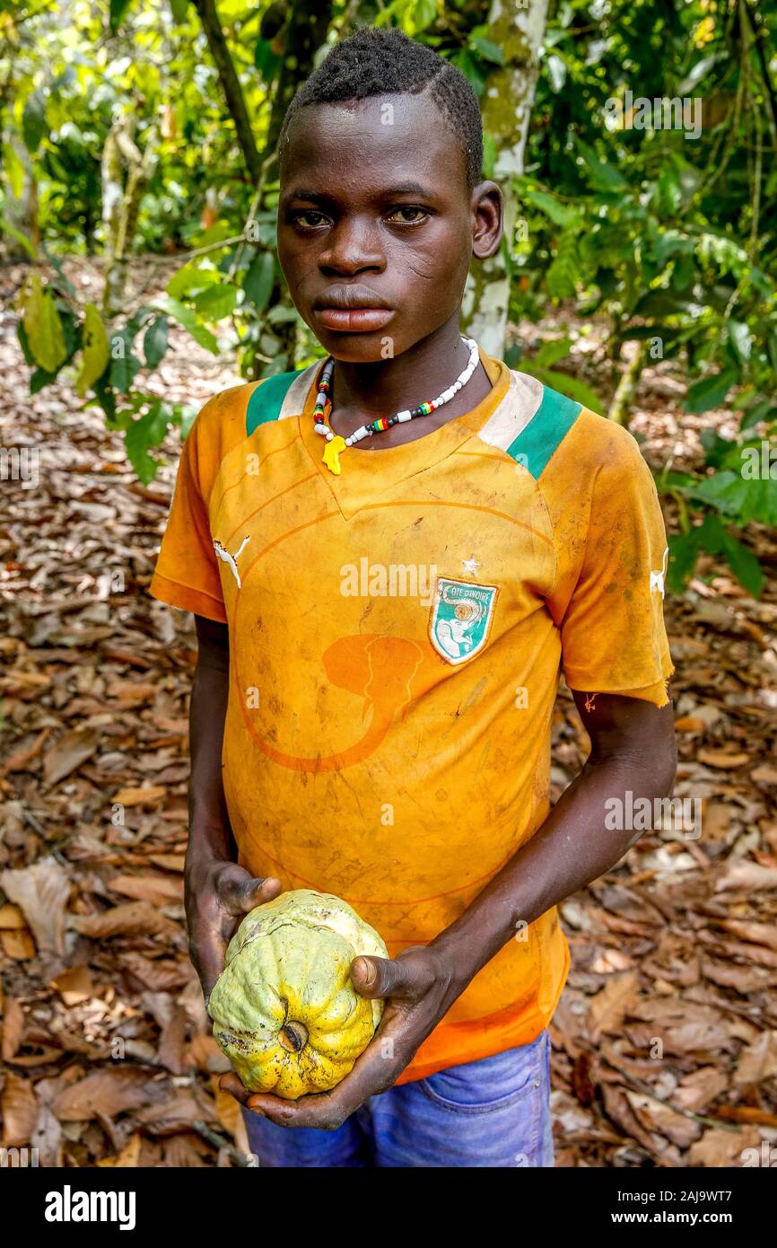 Cacao plantation child hires stock photography and images Alamy