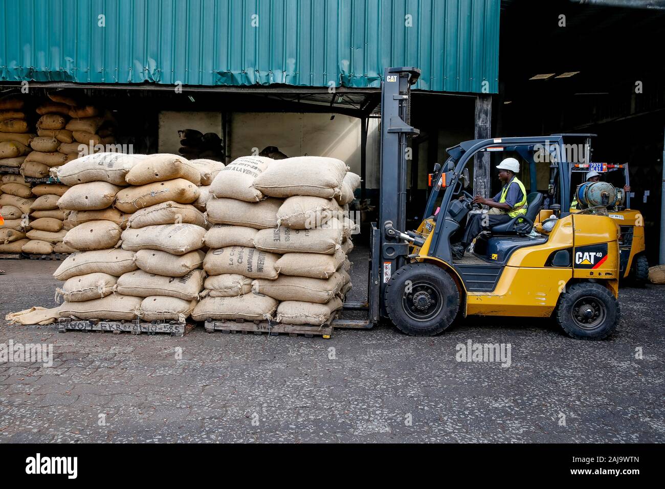Handling sacks of cocoa at abidjan port Stock Photo