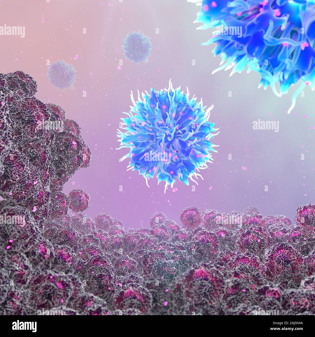 Normal immune response Cancer cells (red) emit antigens (pink) that