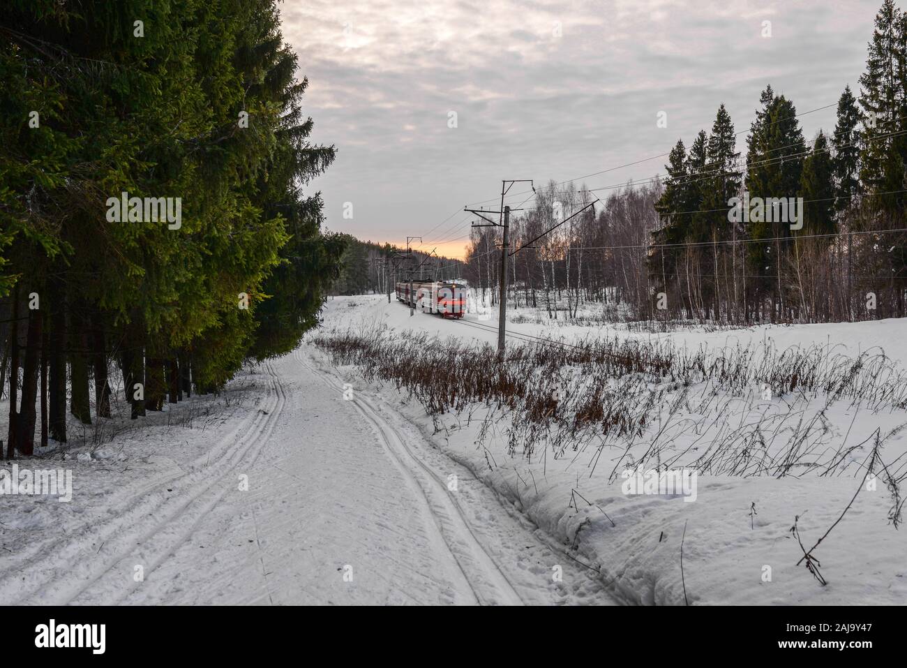 The train travels by rail in the winter in the forest. Traveling by train in Russia. A cold winter day. Transport moves on rails. Passenger traffic. Stock Photo