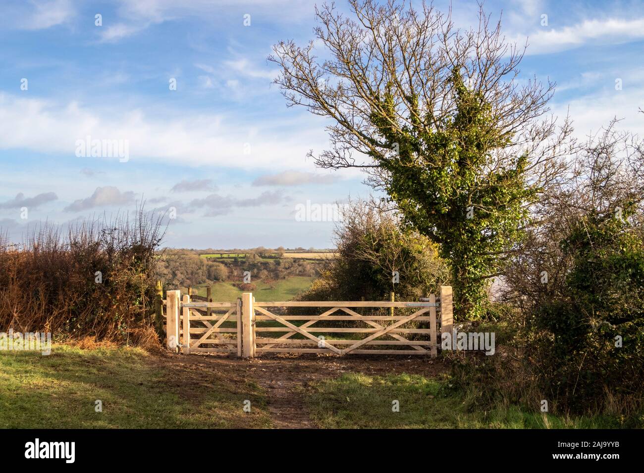 Brand new field farm gate, on the South West Coastal Path over Sidmouth and Salcombe Regis, Devon Stock Photo
