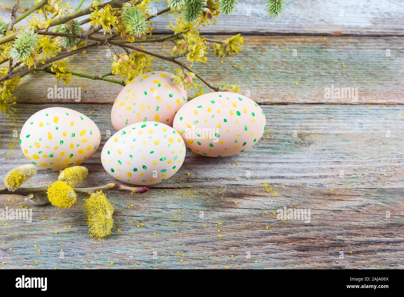 spring Easter still life of flowering willow branches, dogwood and eggs ...