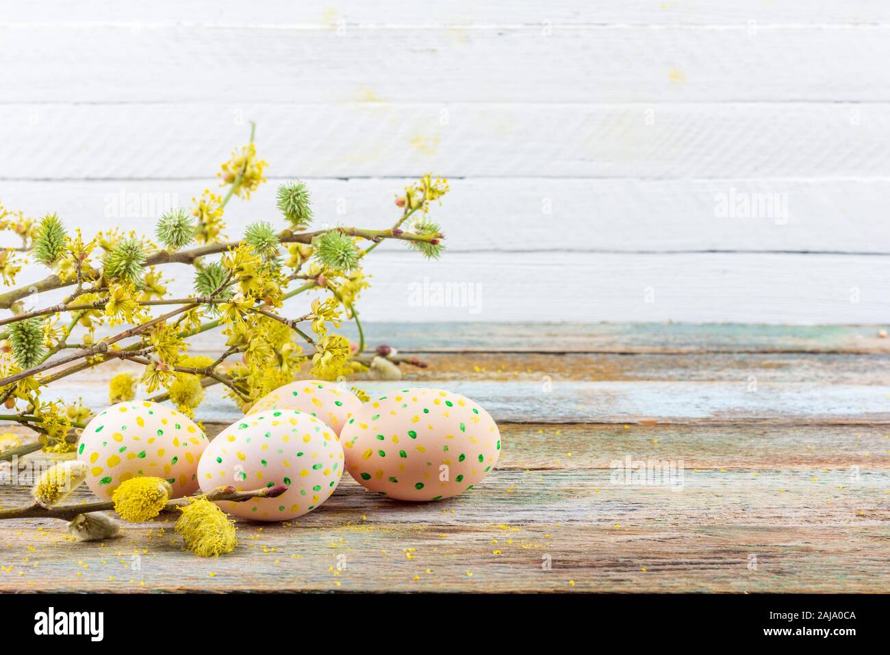 spring Easter still life of flowering willow branches, dogwood and eggs ...