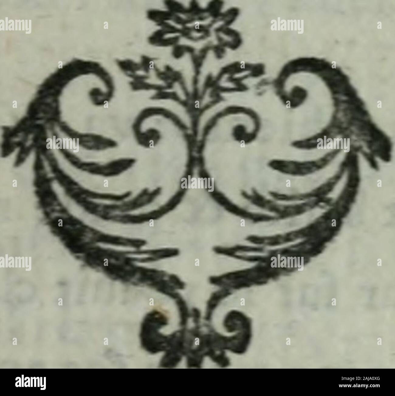 Page 6 Spitzkoppe Or Spitzkop 1784 M High Resolution Stock Photography And Images Alamy