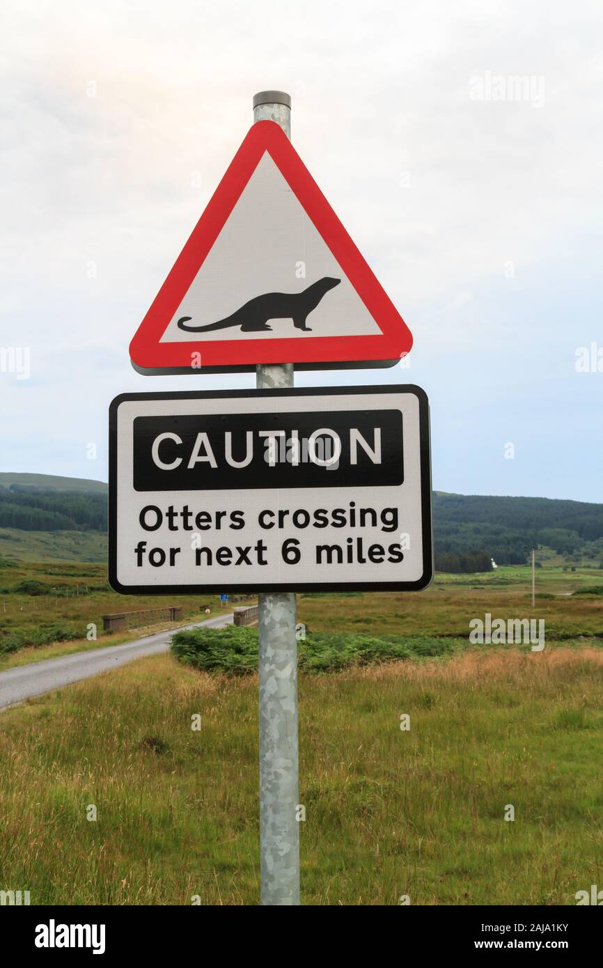 Generic British traffic sign warning road users of rare otters on a rural road on the Isle of Mull Scotland Stock Photo
