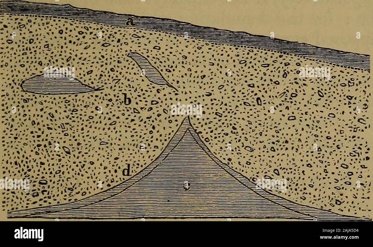The Quarterly journal of the Geological Society of London . The position of the pebbles in the trail, and still more so the con-torted but unscattered condition of incoherent material, show thatthe trail has been transported in a plastic state (as mud) moving byits own gravity, or else pressed onwards by some other agent. Fig. 6.—Section of Trail near Villa Farm, Tendring HundredRailway. .:vj&gt;-.v ..?.;.-.: ;-&gt;:?^ a. Warp.:;V«/;^?,.-:V::?:?:^;f^.- b. Trail of sandy gravel.;;r^-.0;i..-.-V;-.v,-v.:;T;-:3; &lt;?• London clay, d. Weathered surface ofLondon clay, full ofSlickensides.. I can c Stock Photo
