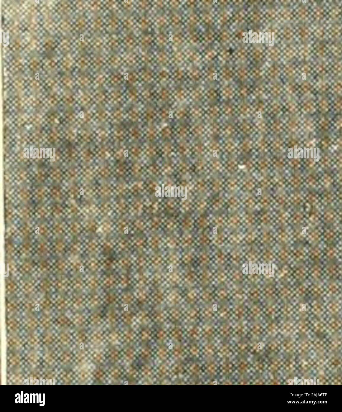 Forage crops for soiling, silage, hay and pasture . Pig. 5. Baruyard