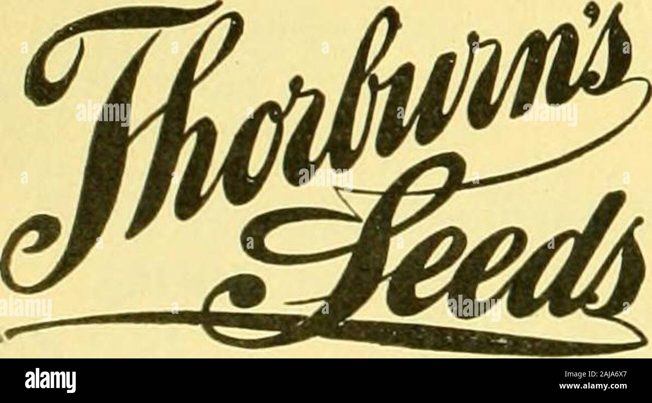 The Florists' exchange : a weekly medium of interchange for florists,  nurserymen, seedsmen and the trade in general . S4.0O 100 6.00 KKI 8.00  lOOO 10.00 100 1.25 100 8.00 100 9.00