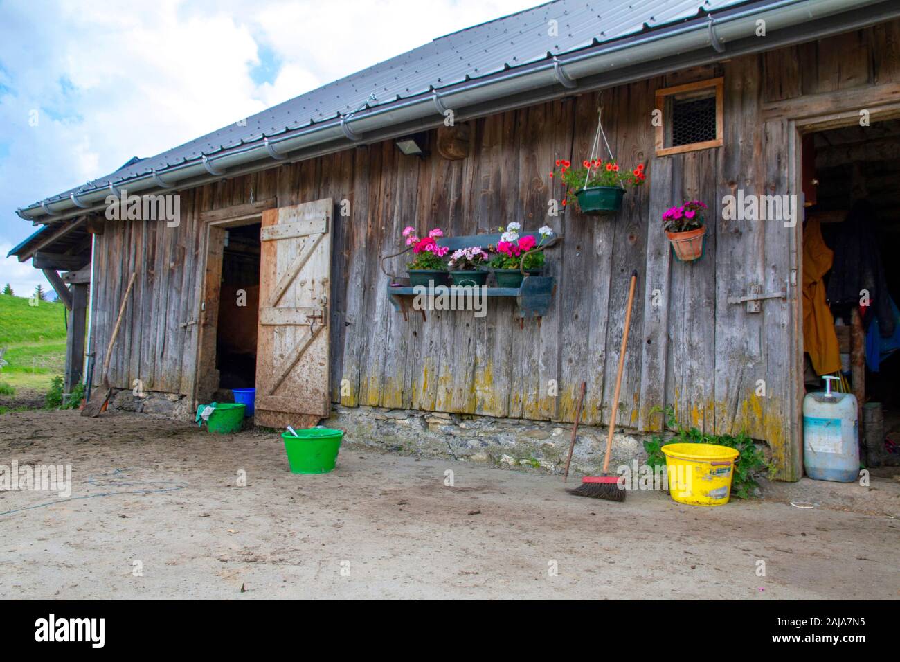 Rearing stable hi-res stock photography and images - Alamy