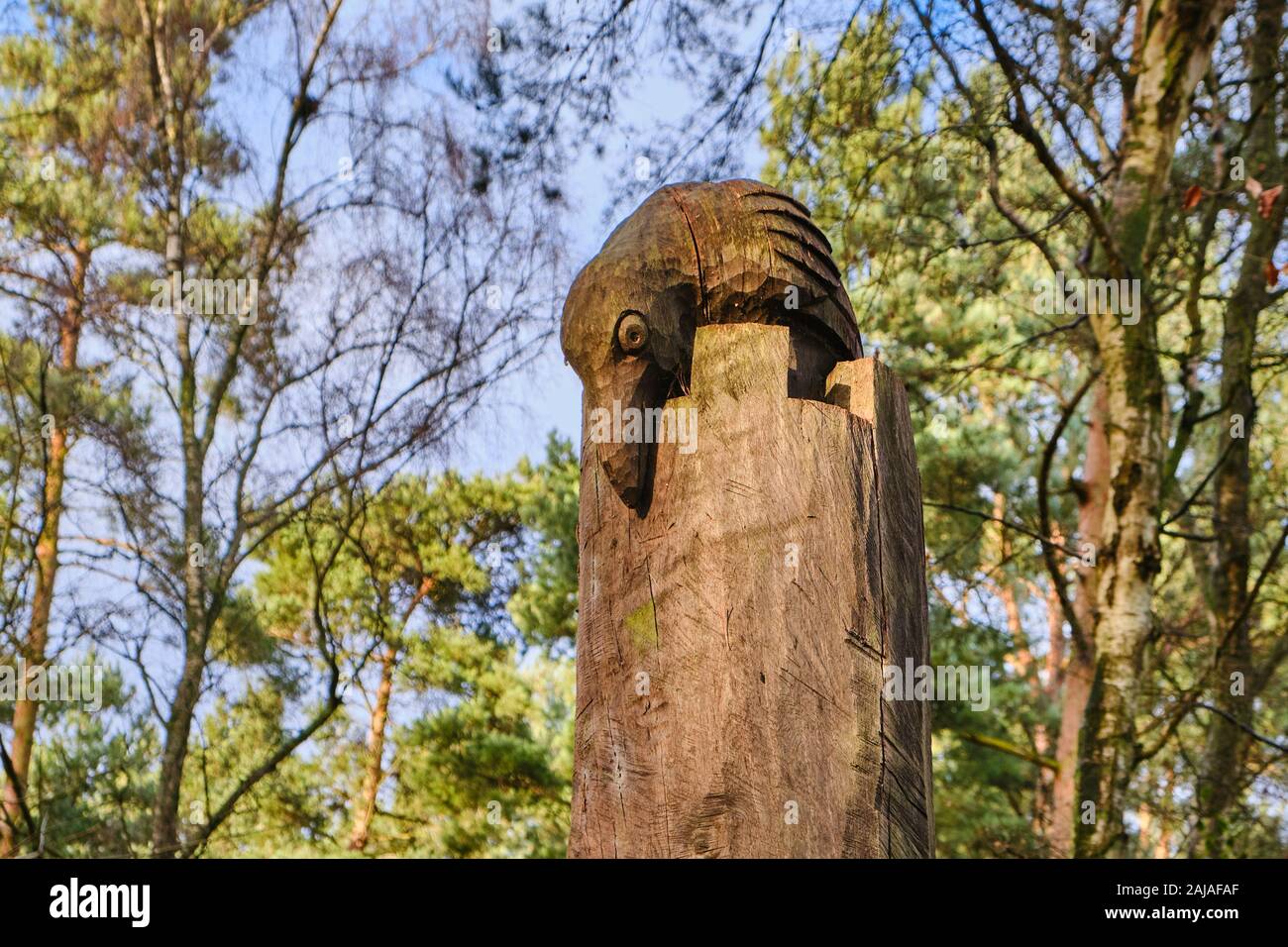 wooden carved carving sculpture of a raven on a post by woodland trail at Royal Sandringham in Norfolk Stock Photo