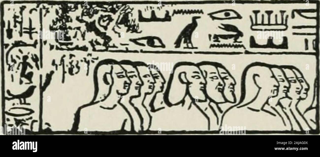 A history of Babylon from the foundation of the monarchy to the Persian conquest . Pigs. 47 and 48.repbesentations op hittites in egyptian sculpture. The two Figures are parts of the same scene from a relief found at Karnak,representing the introduction of Asiatic ambassadors by an Egyptian prince toRameses II. The bearded Semites are readily to be distinguished from theirHittite colleagues, clean-shaven and with their long plaits of hair, or pig-tails,hanging down the back. [After Meyer.] not even certain whether we might regard as theirwork the hieroglyphic rock-inscriptions, which arescatte Stock Photo