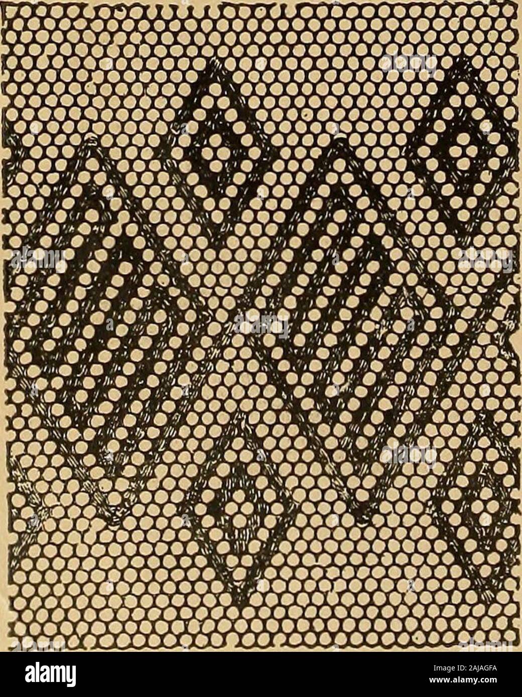 Smocking, fancy stitches, and cross stitch and darned net designs ...