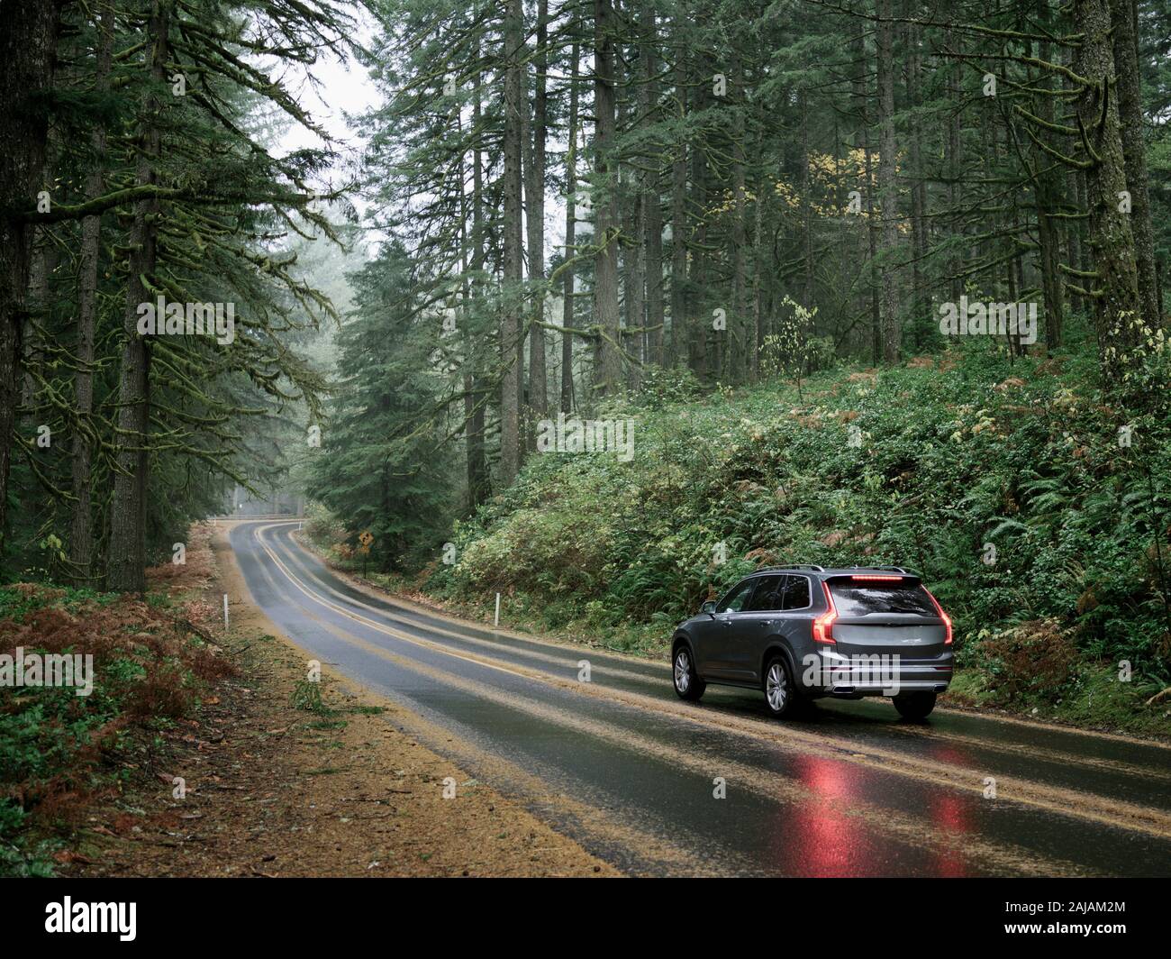SUV automobile driving through foggy and rainy forest road Stock Photo ...