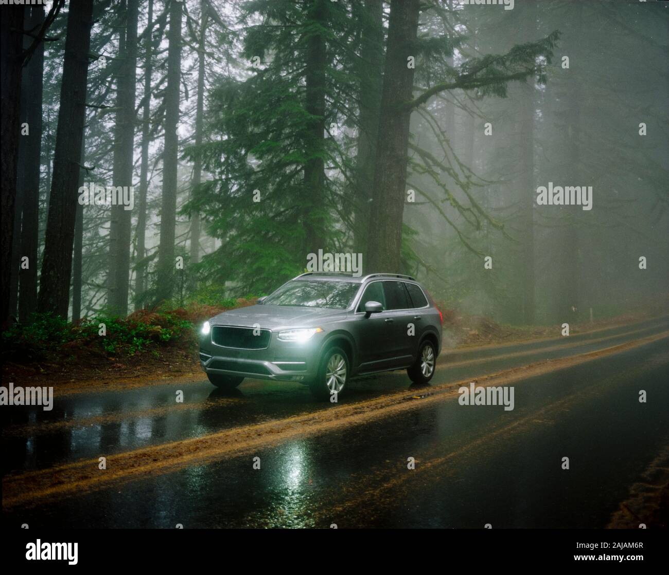 SUV automobile driving through foggy and rainy forest road Stock Photo ...