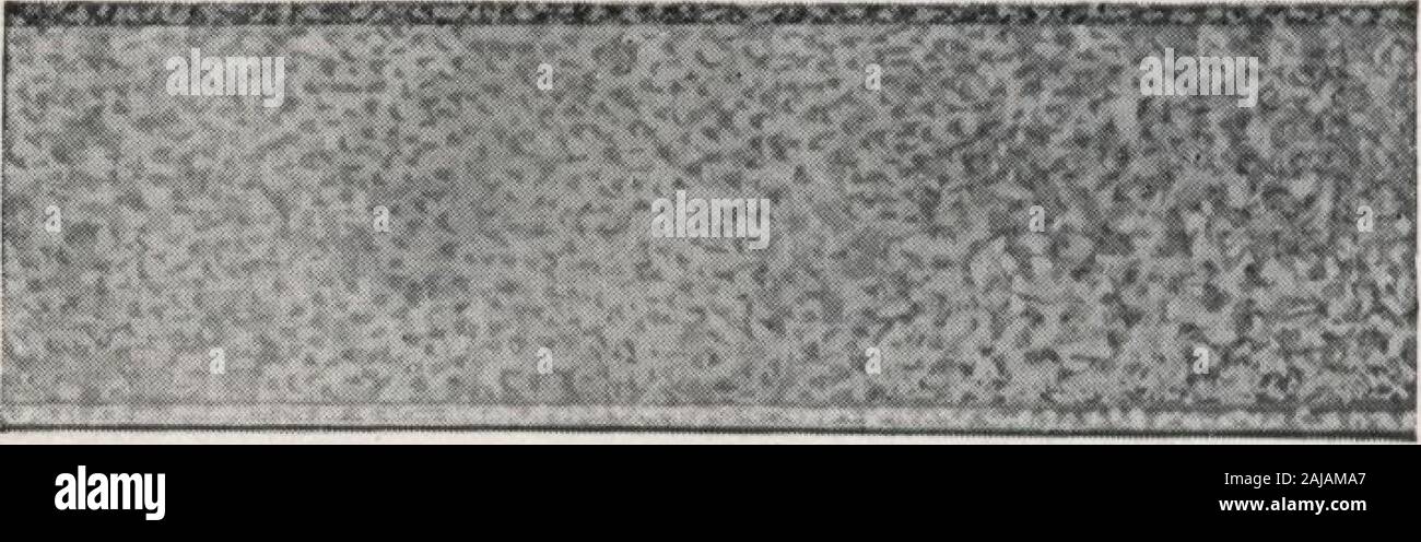 5 feet 9 inches hi-res stock photography and images - Alamy