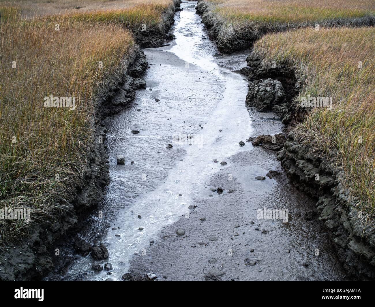 A Dried Up Stream Bed at Low Tide Stock Photo