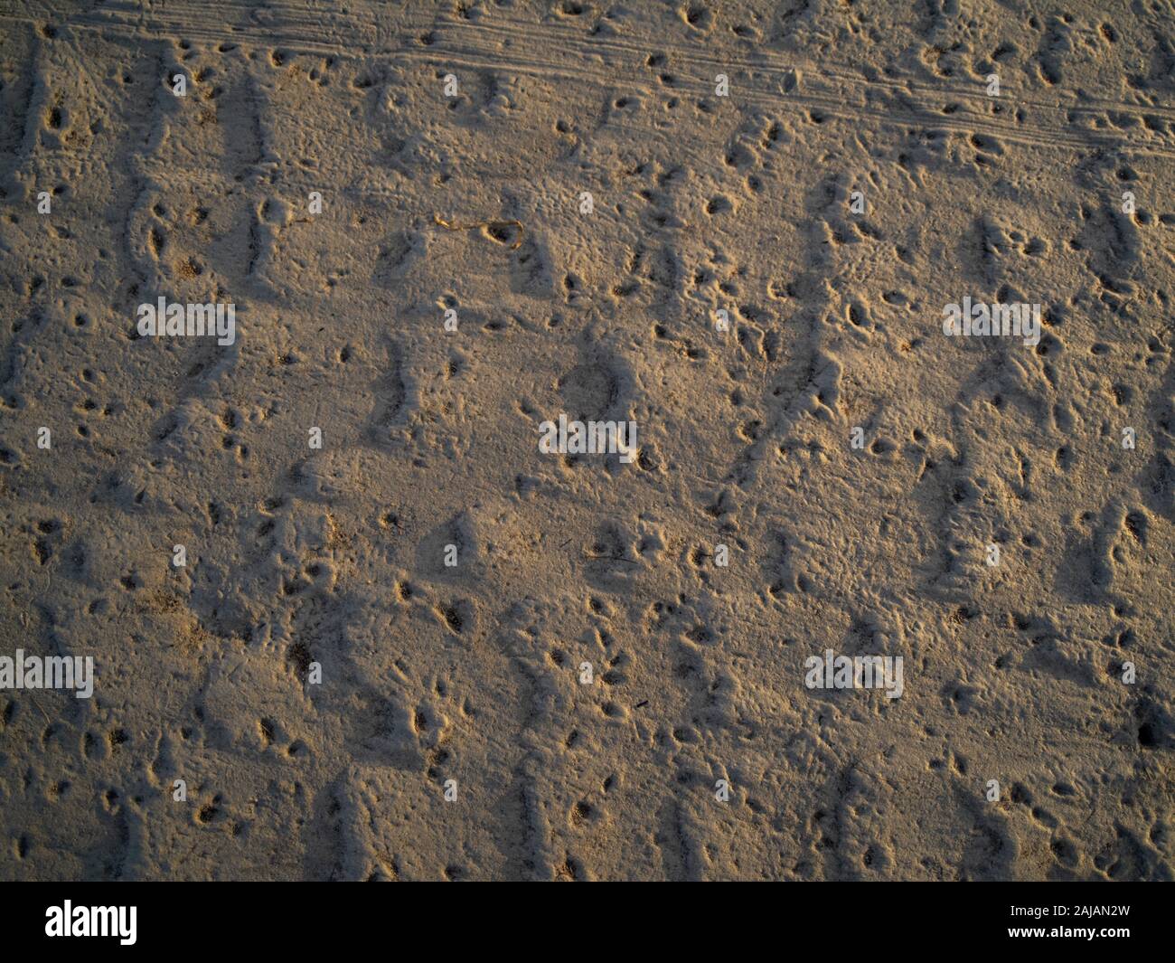 Air Pockets Form Holes In The Sand At Low Tide Stock Photo Alamy