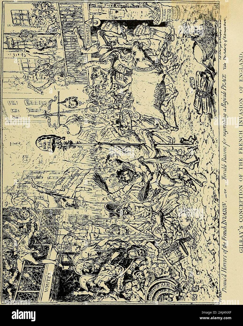 The history of the nineteenth century in caricature . throws light 