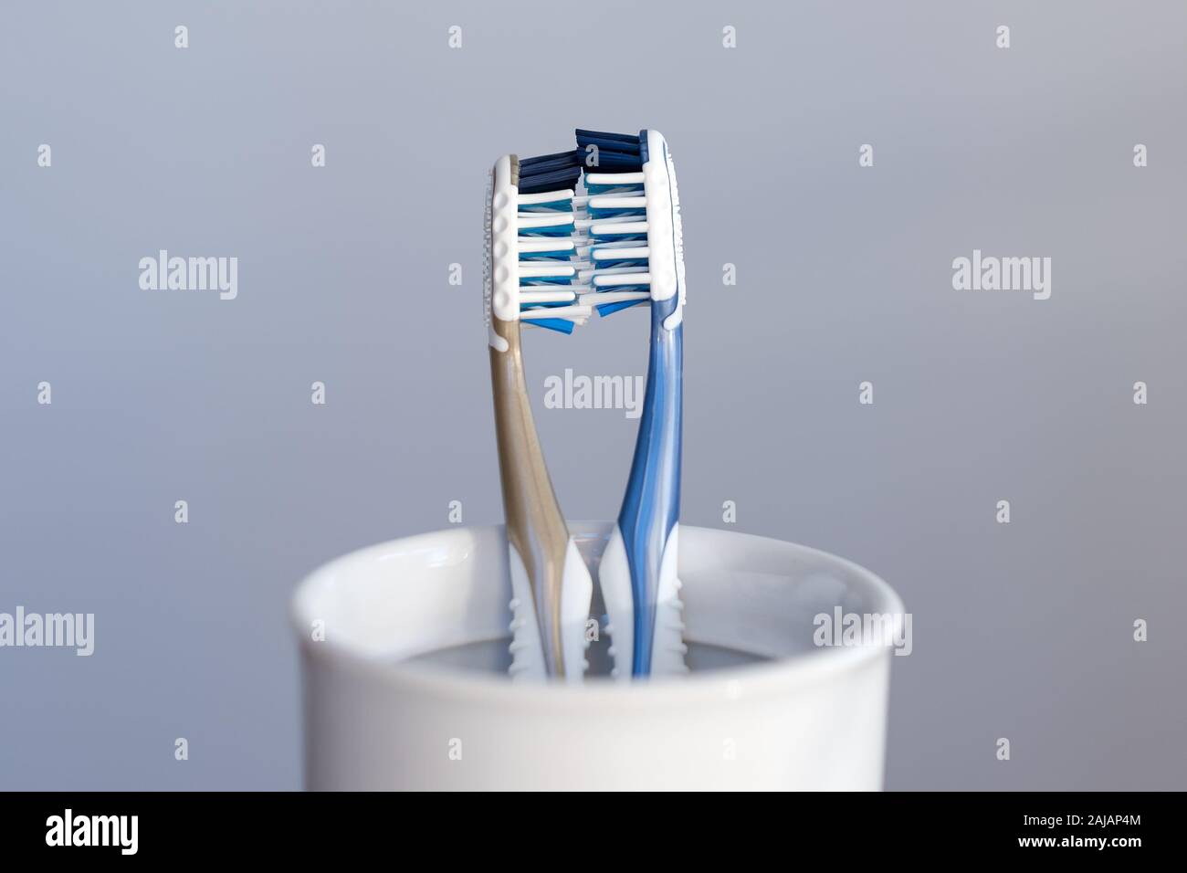 Two plastic toothbrushes kissing in toothbrush cup on grey background