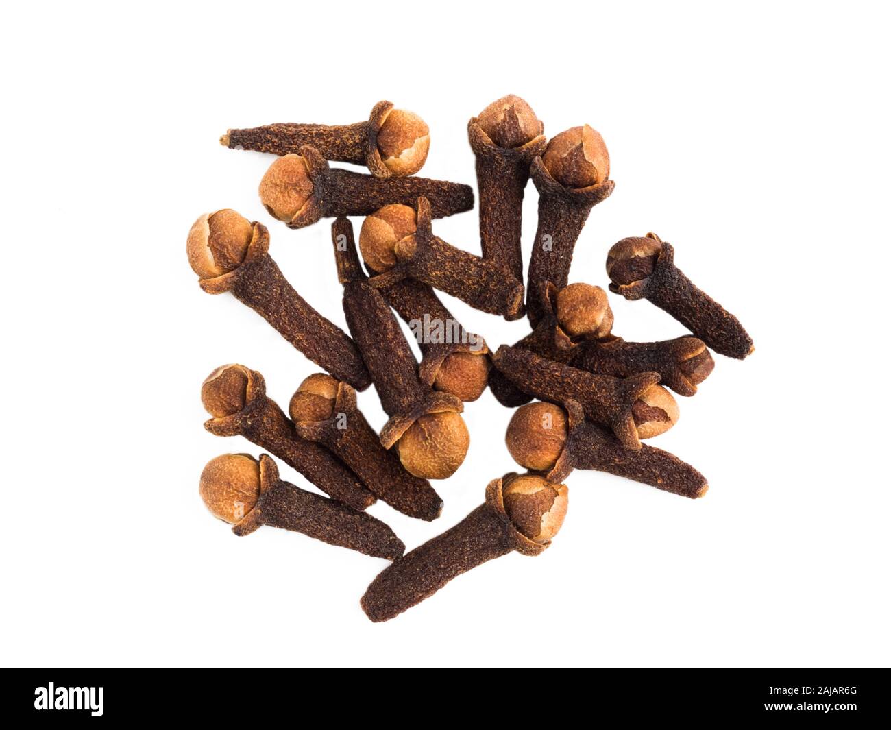Bunch of spice cloves on white isolated background. Indian cuisine