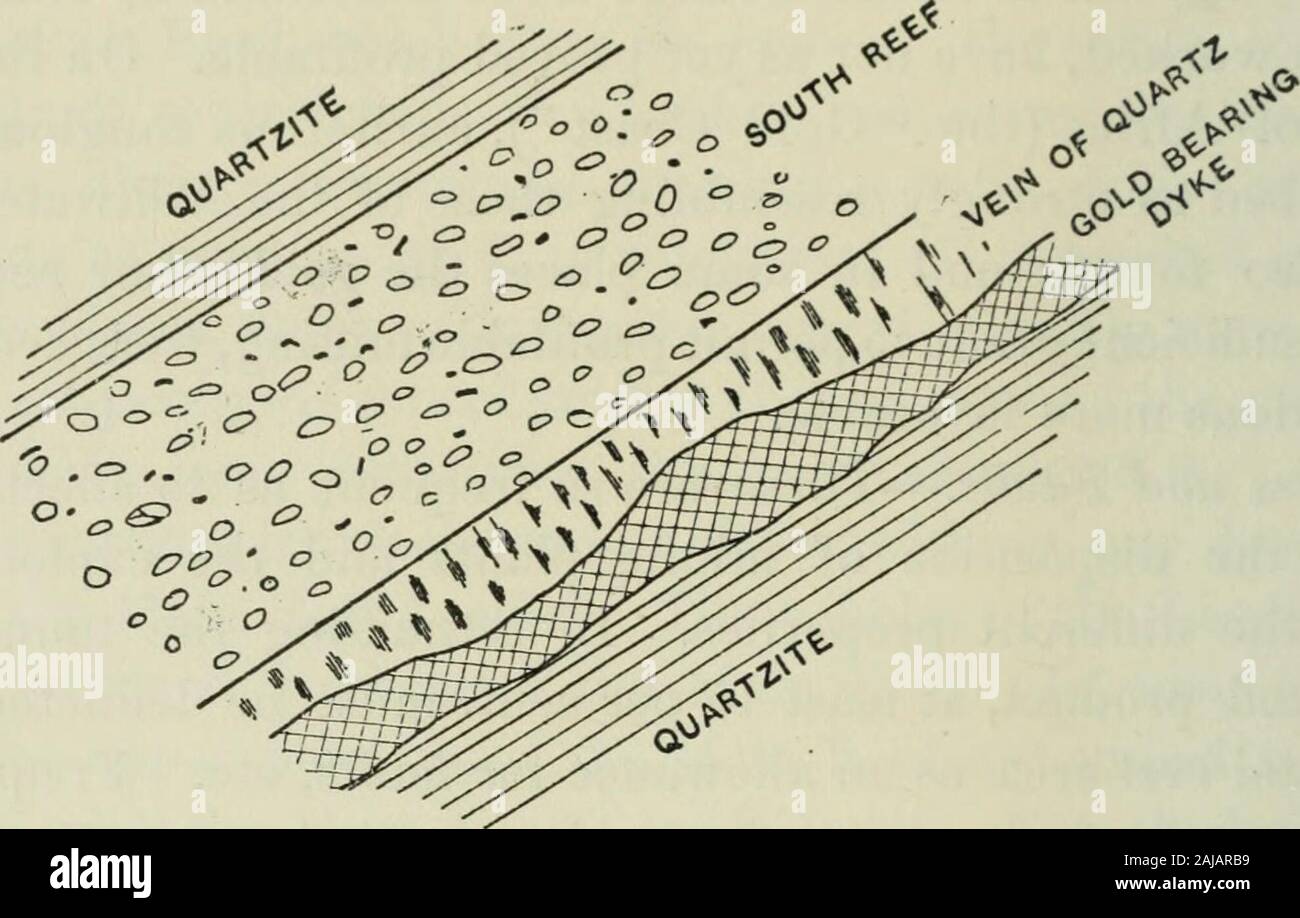 Transactions . other instances of the proximity of a dike affecting:he gold tenor of the reefs, one of the most notable is at theBufflesdoorn mine, where the payable section of the reef is de-rermined entirely by the proximity of the dike. * From Mr. Truscotts book, p. 112. VOL. XXXI.—51 840 GOLD-MINING IN THE TRANSVAAL, SOUTH AFRICA. The dikes have various strikes, Bometimes more or lessparallel with the strike of the reefs, and again crossing reefsalmost at right-angles. Some of the many interbedded dikesmay have been formed daring the formation of the con-glomerate-beds, but by far the grea Stock Photo