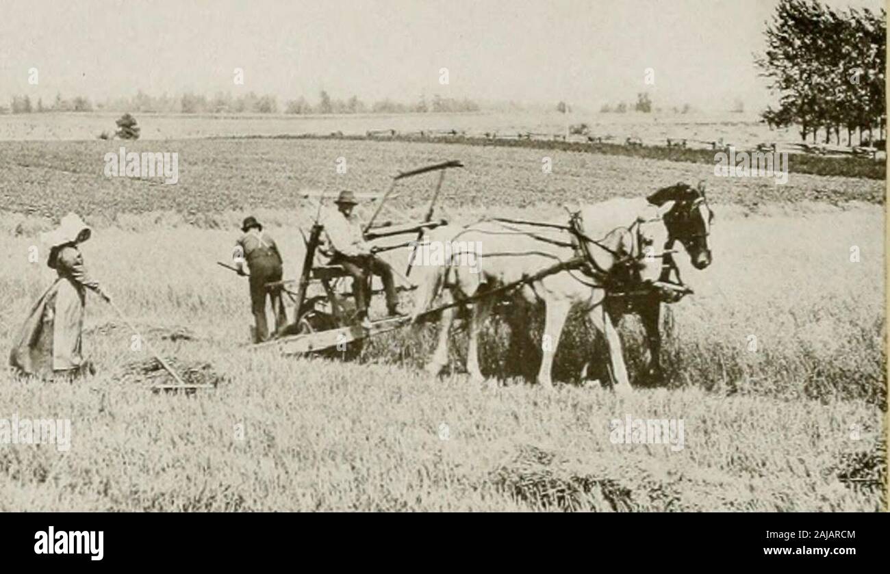 Harvest scenes of the world . 1 The First Reaper — Invented