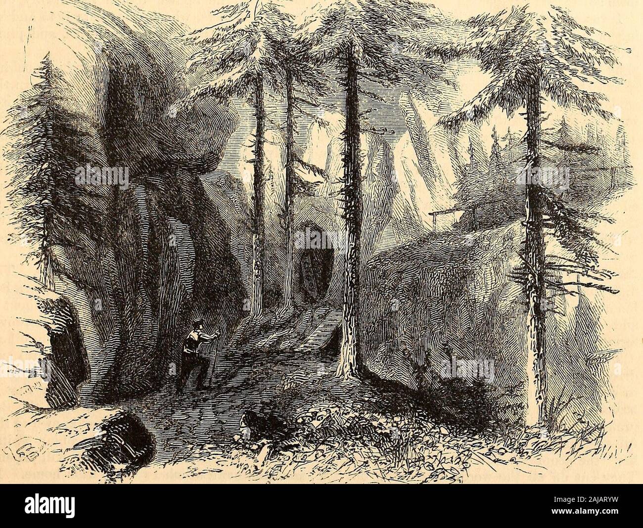 Harper's new monthly magazine . lue Bohemian mountains, and, tothe west, on all the dark summits of the Fich-telgebirge. The villages shone white and redin the sun; the meadow-ponds were sapphiresset in emerald, and the dark-purple tint of theforests mottled the general golden-green lustreof the landscape. A quarter of an hour furtheris the Haberstein, a wonderful up-building ofrock, forming a double tower, from eighty to ahundred feet high. On returning to Wunsiedel I did not neglectto visit Jean Pauls birth-place—a plain, sub-stantial house, adjoining the church. Here thestreet forms a small Stock Photo