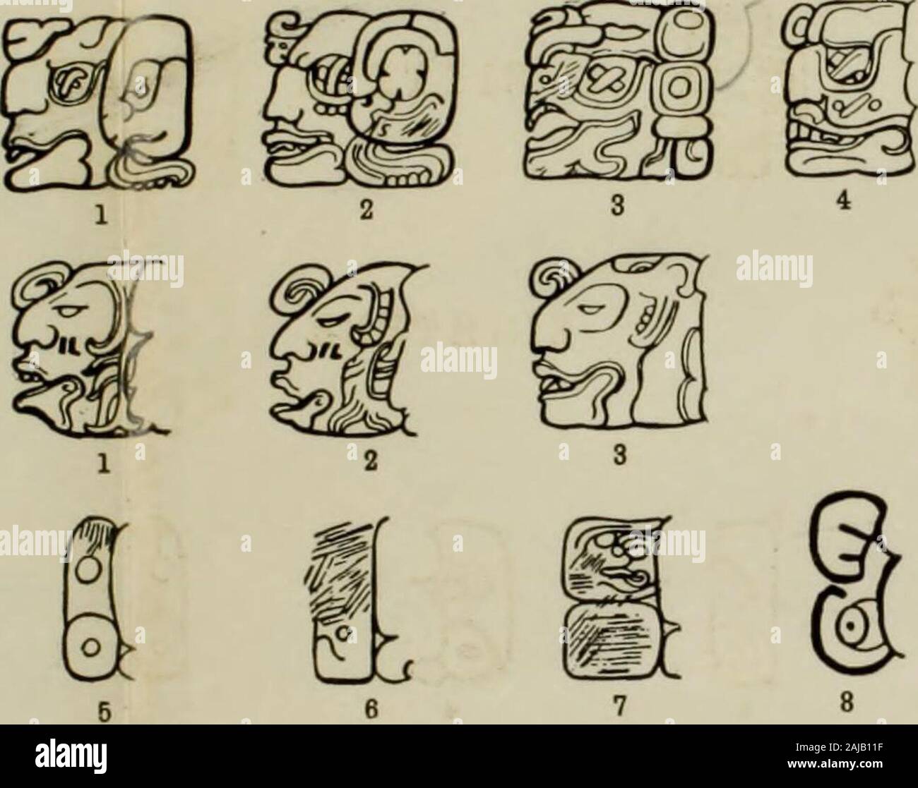 The numeration, calendar systems and astronomical knowledge of the Mayas .  0. Pal. Palace Steps. 35. Cop. St. N. 9.16.10. 0. 0 11. Cop. St. C (w). 36.  Qu. St. F (e).